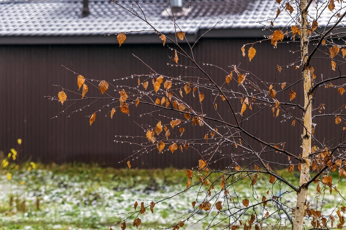 То снег, то дождь - Валерий Иванович