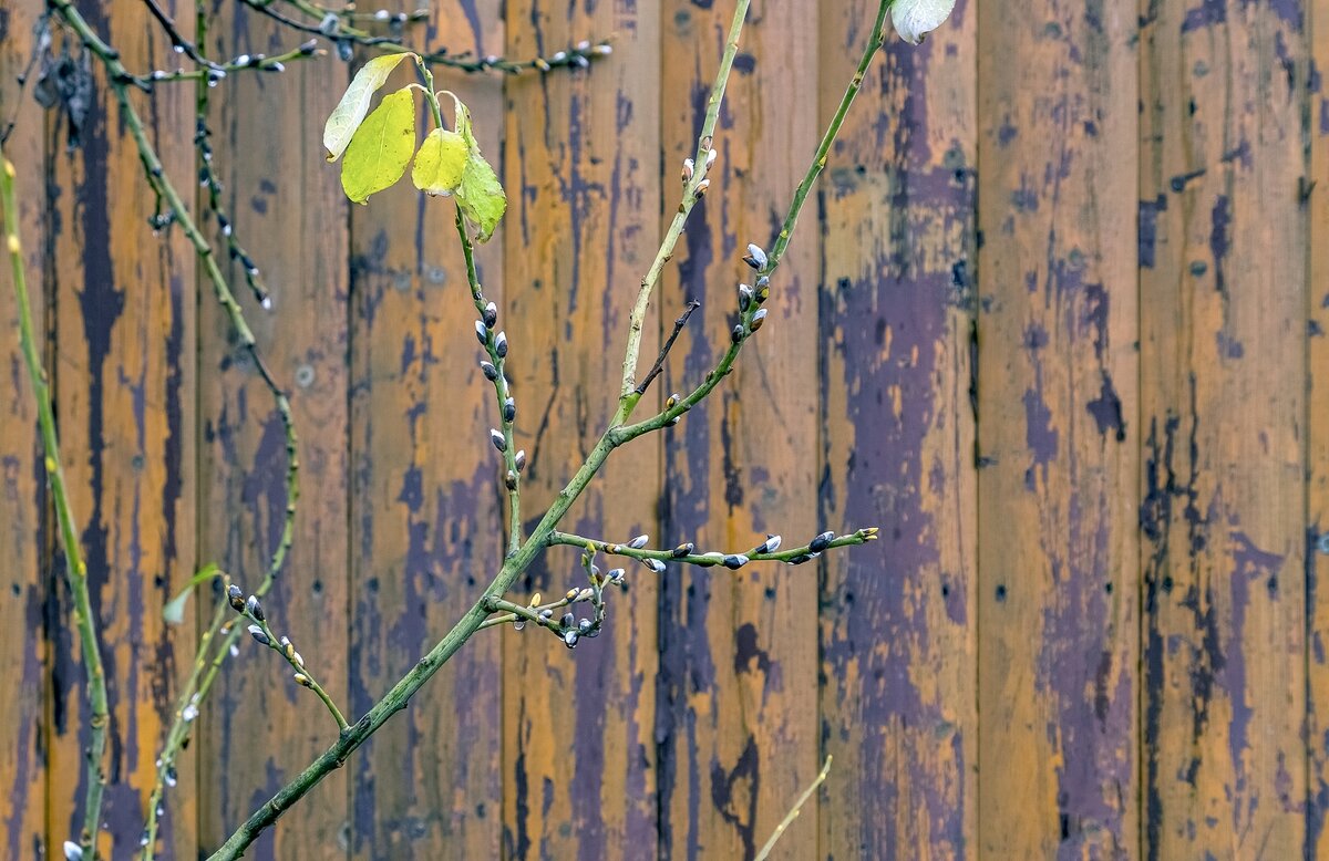 Тёплый ноябрь - Валерий Иванович