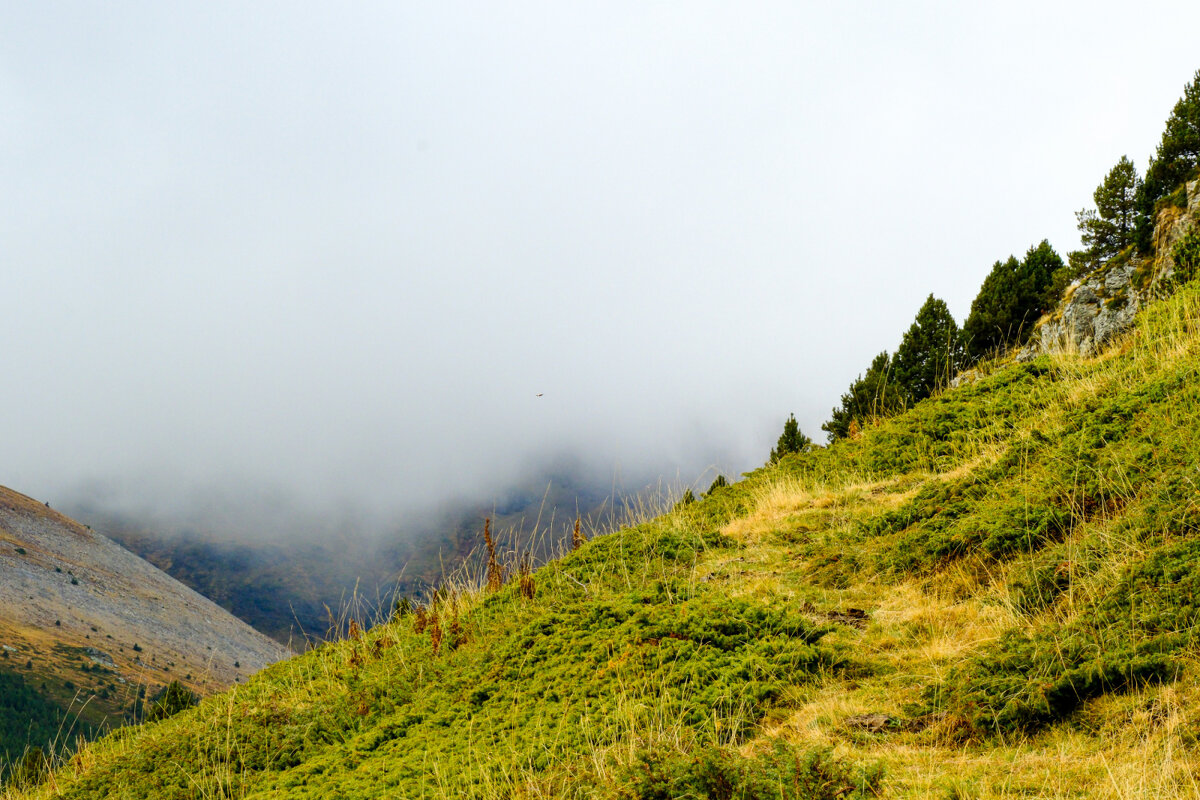 Поход по горам (6) - Георгий А Поход по горам (6) - Георгий А