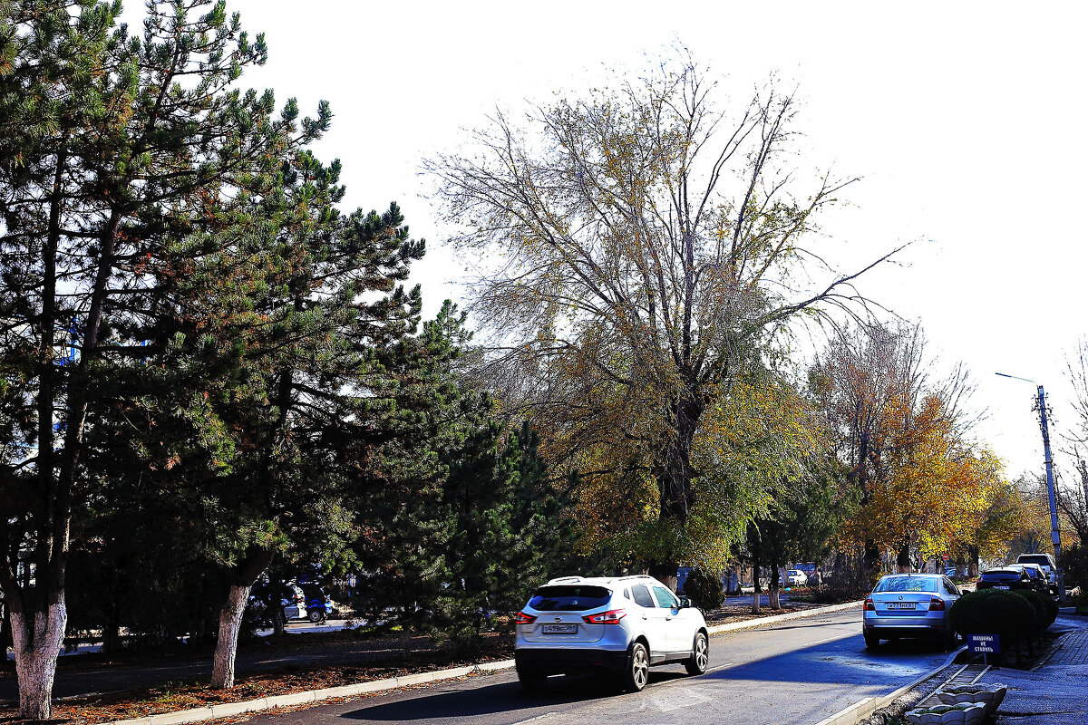 Возле парка - Юрий Гайворонскiий
