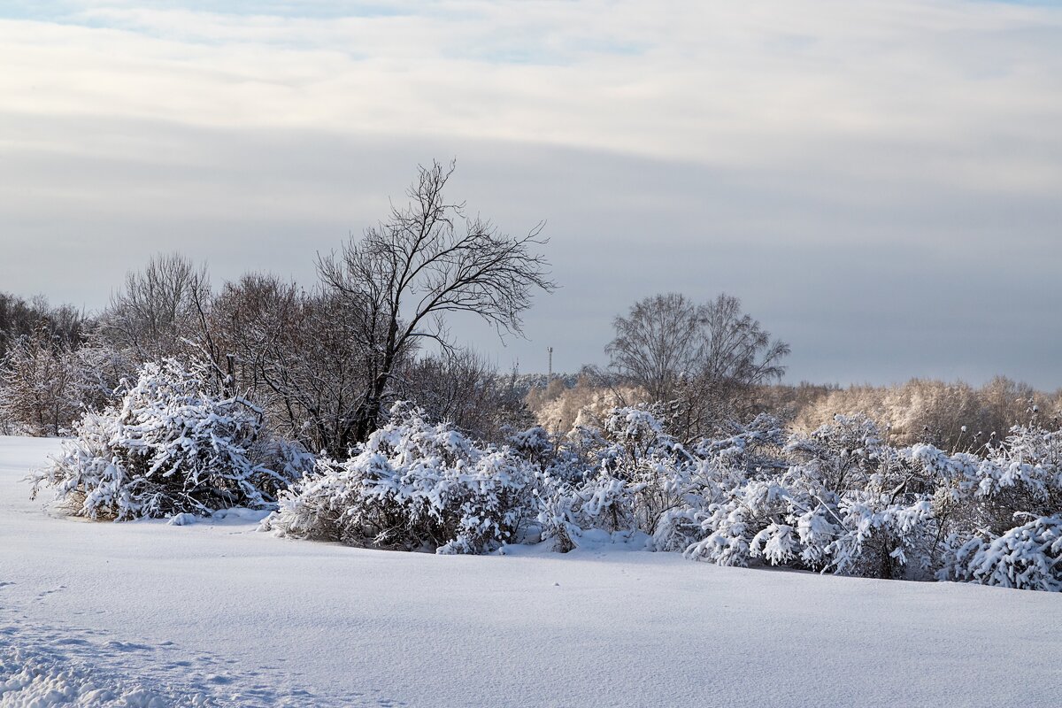 зима в сибирь пришла - Виктор Ковчин