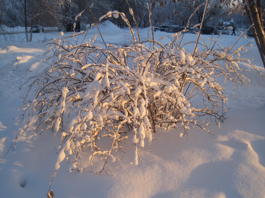 Так хочется белого снега.. - Елена Семигина