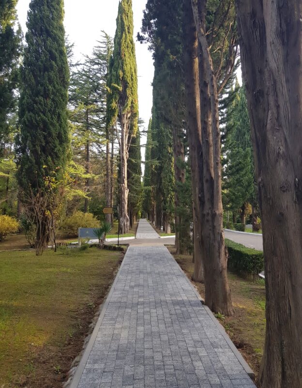 Русь - Tata Wolf