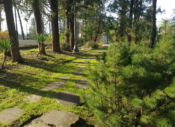 Русь - Tata Wolf