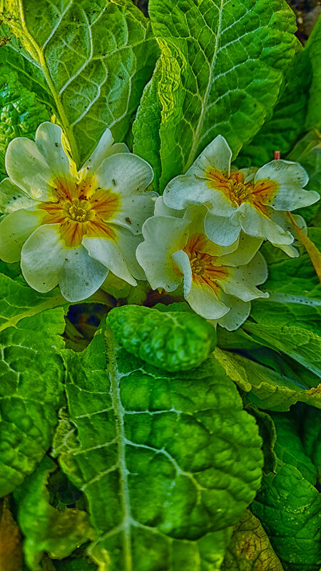 ... - Наталья 