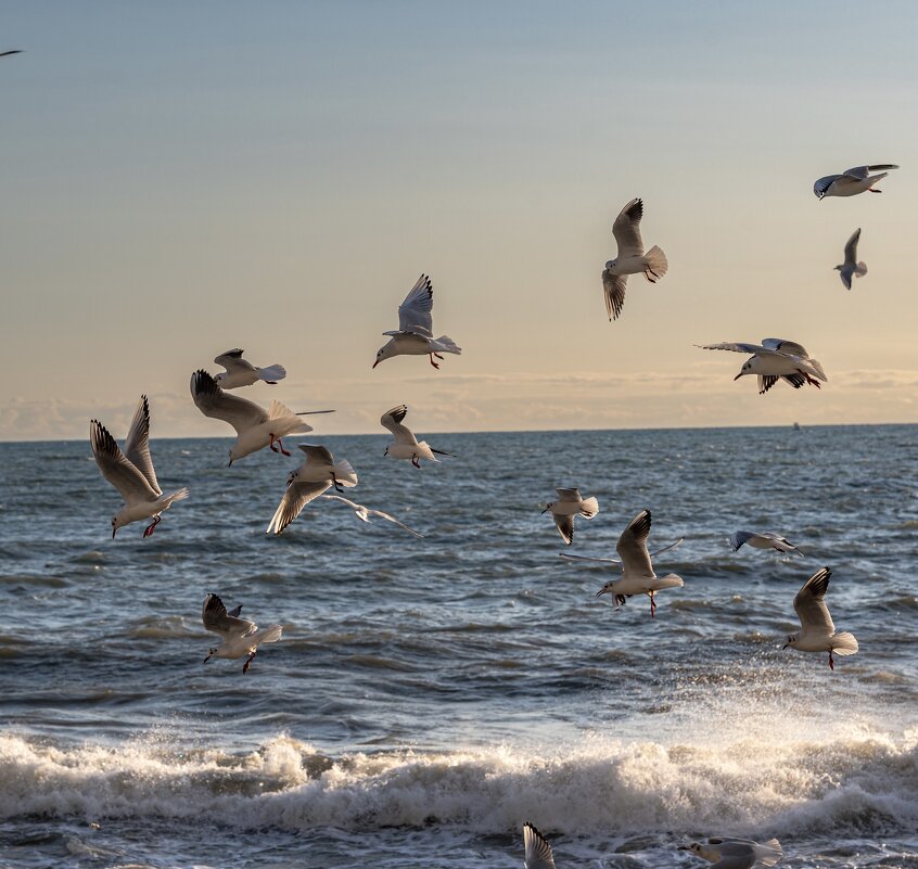 ,,, - Сергей Яковлев