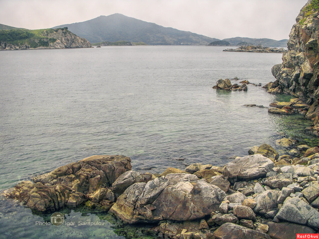 Полуостров Гамова - Игорь Сарапулов