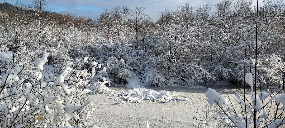 Прекрасный день!!! - Радмир Арсеньев Прекрасный день!!! - Радмир Арсеньев