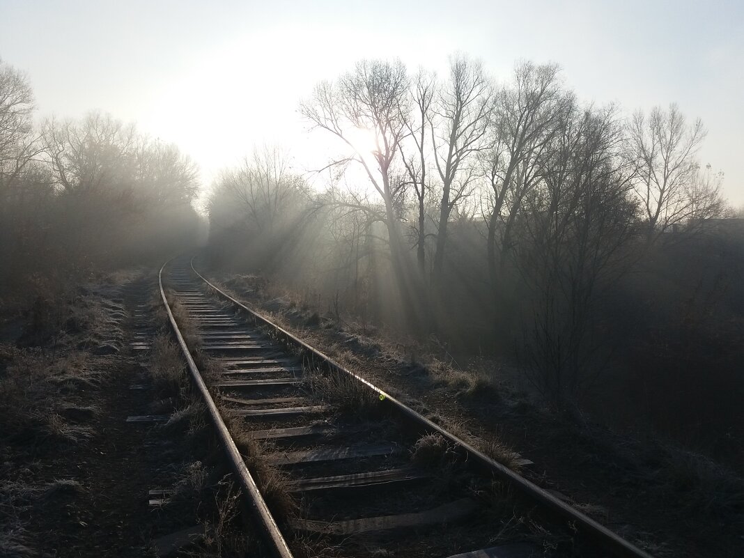 --- - Aндрей Антонов