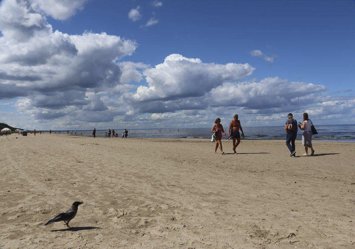 Б.Н - Николай 