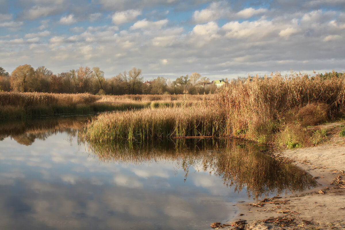 Осень в позитивном свете - Валерий VRN