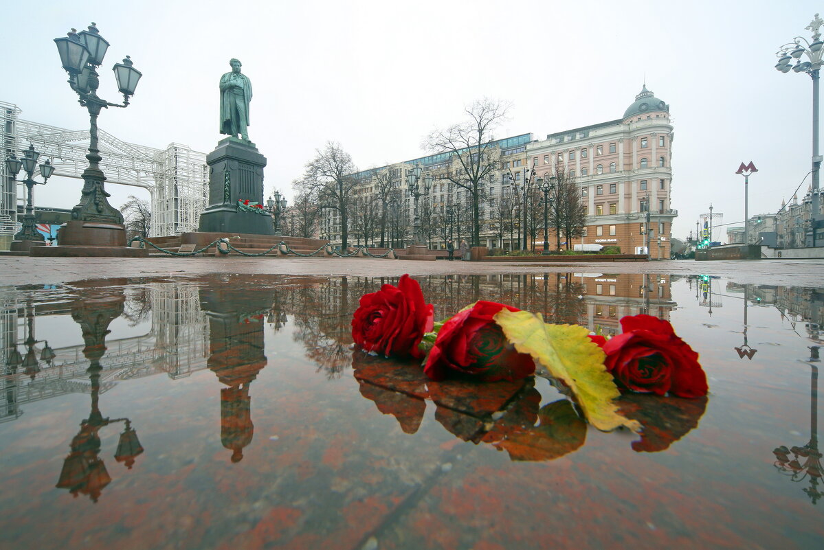 Пушкин 27 ноября - Михаил Бибичков Пушкин 27 ноября - Михаил Бибичков