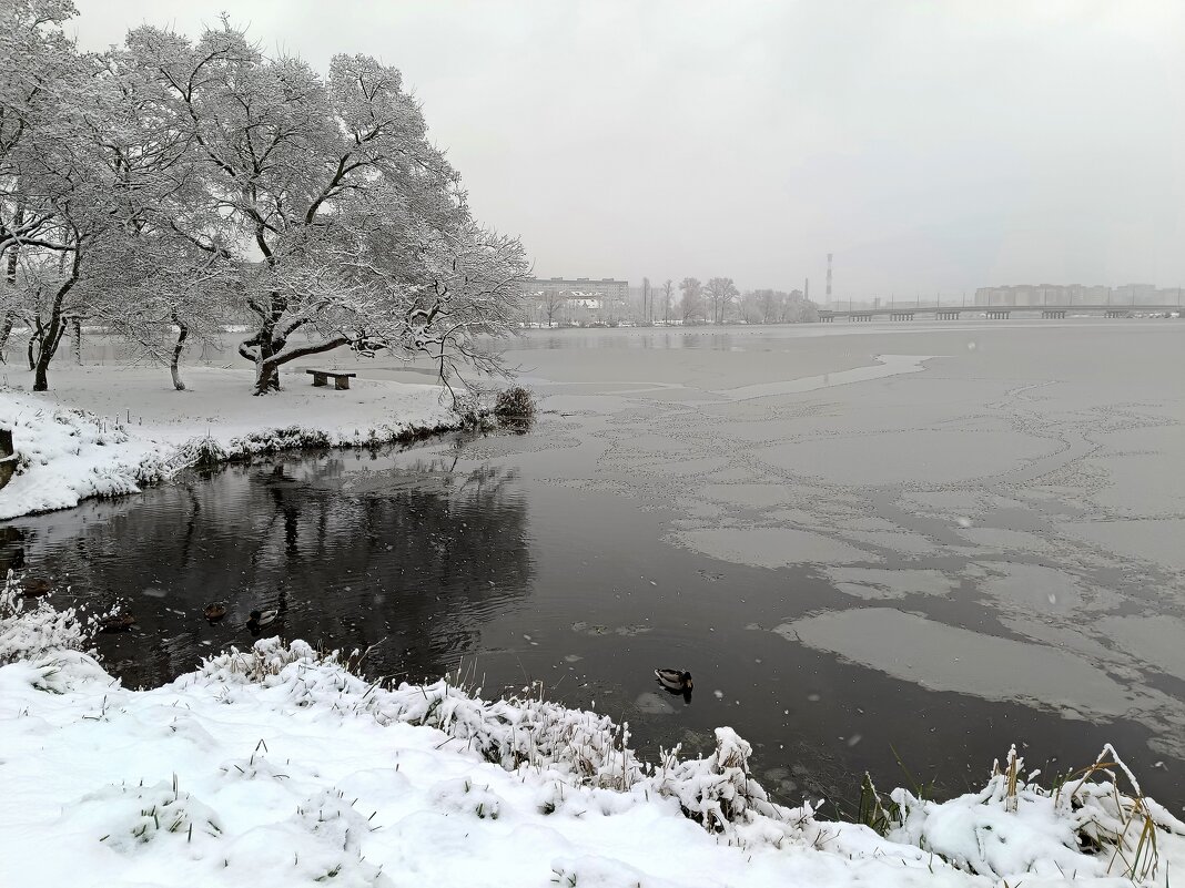 В ноябре у реки - Мария Васильева