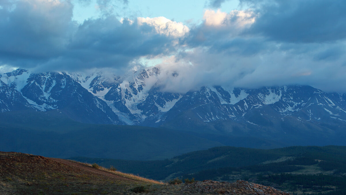 *** - владимир 