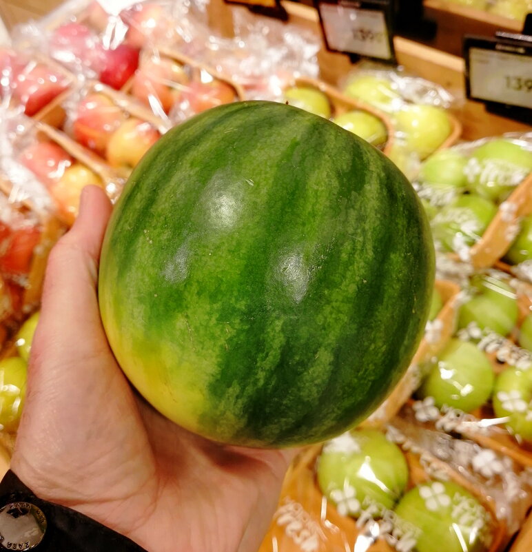 Одиночество-сволочь, одиночество-скука, Я не чувствую сердце, я не чувствую руку - Юрий Вовк