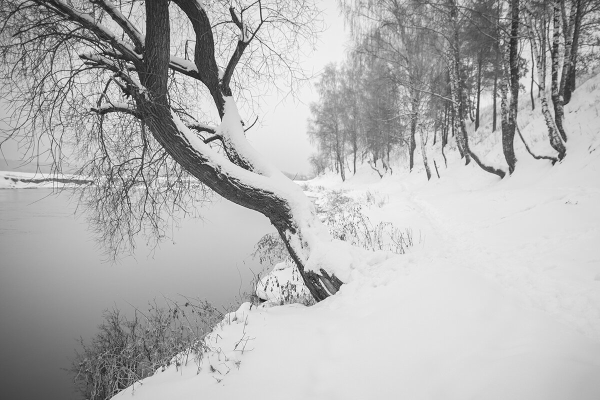 Нежная зима... - Владимир Носов Нежная зима... - Владимир Носов
