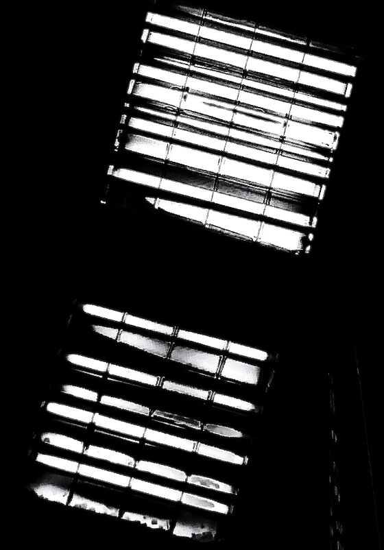 * - Василий Палий