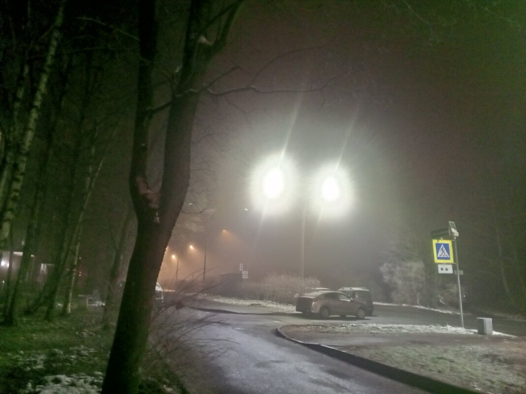 Туман - Сапсан 