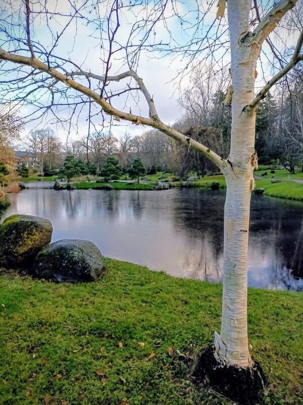 В Японском саду - Veera V