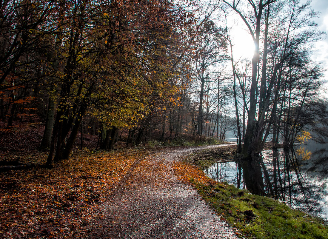 ----------------------- - igor G. ----------------------- - igor G.