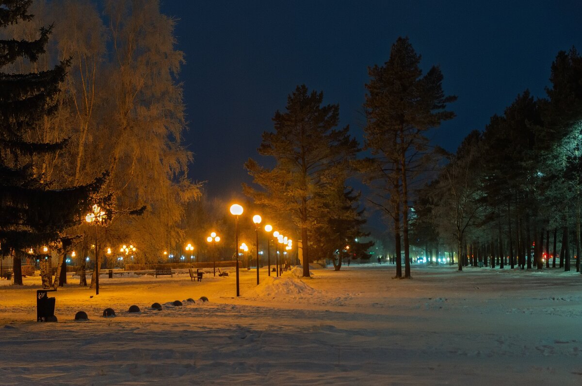 Теплая зима - Виктор Иванович Чернюк