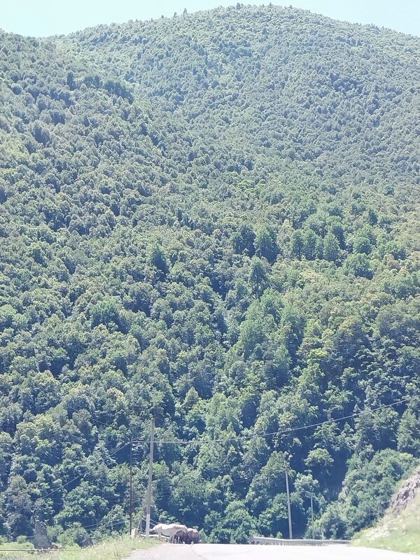 В горах - Маргарита Б