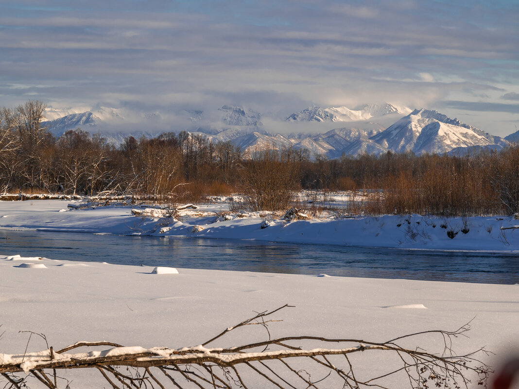 ... - Жора Житников