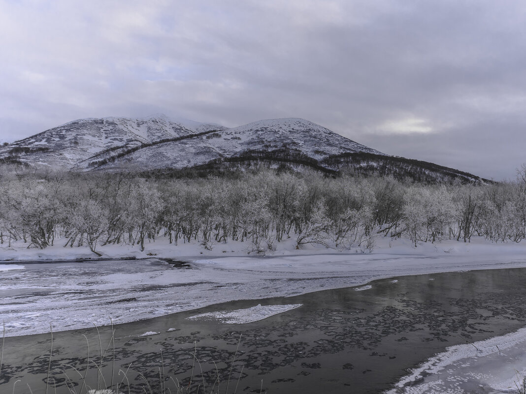 ... - Жора Житников