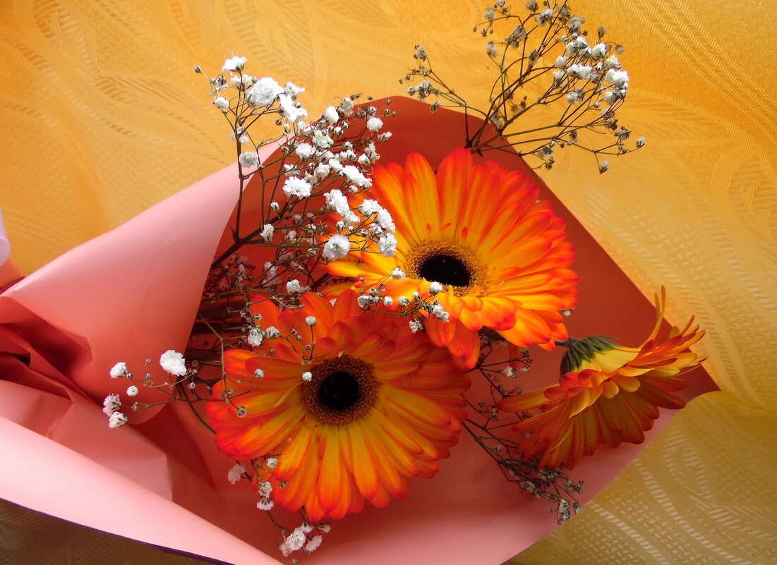 Герберы. - nadyasilyuk Вознюк Герберы. - nadyasilyuk Вознюк