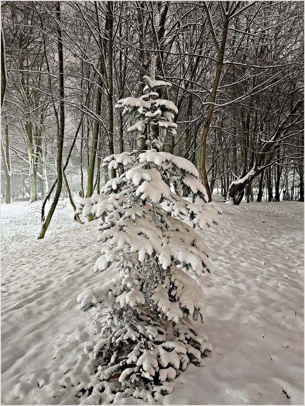 Первый снге. - Валерия Комова