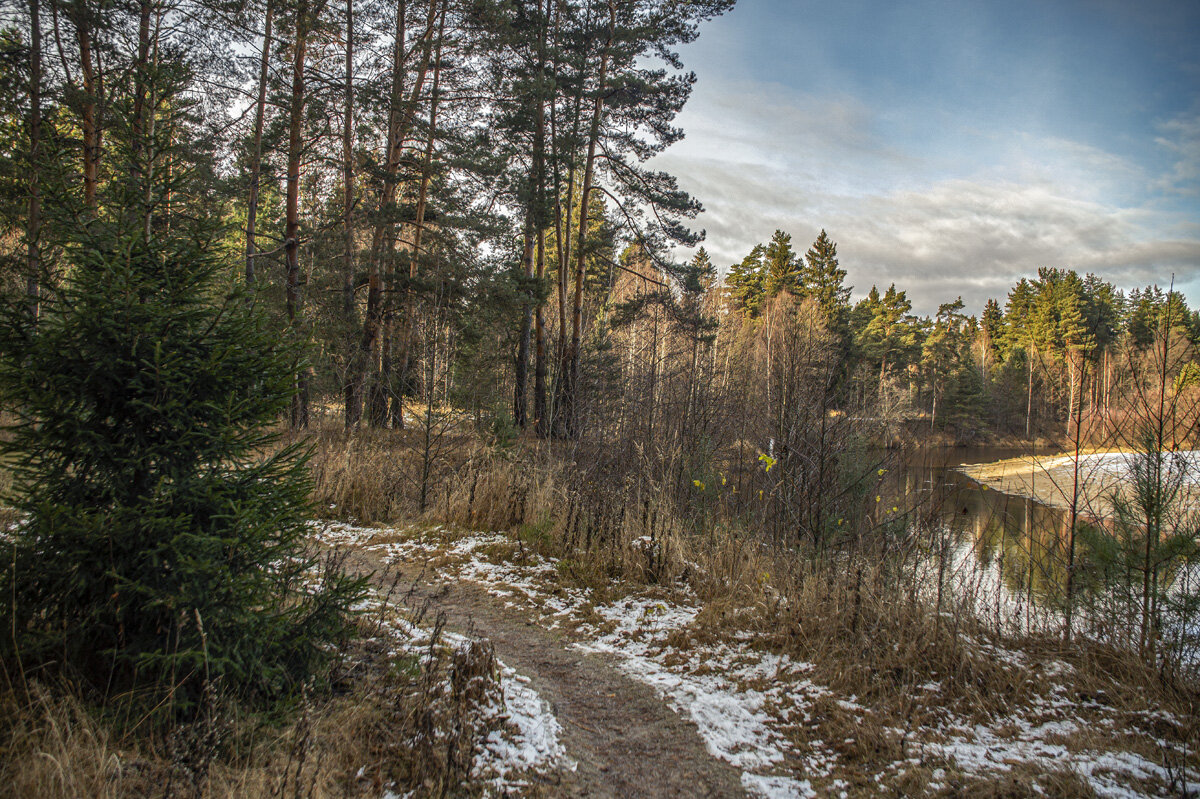 Предзимье . - Александр Иванович Шитов
