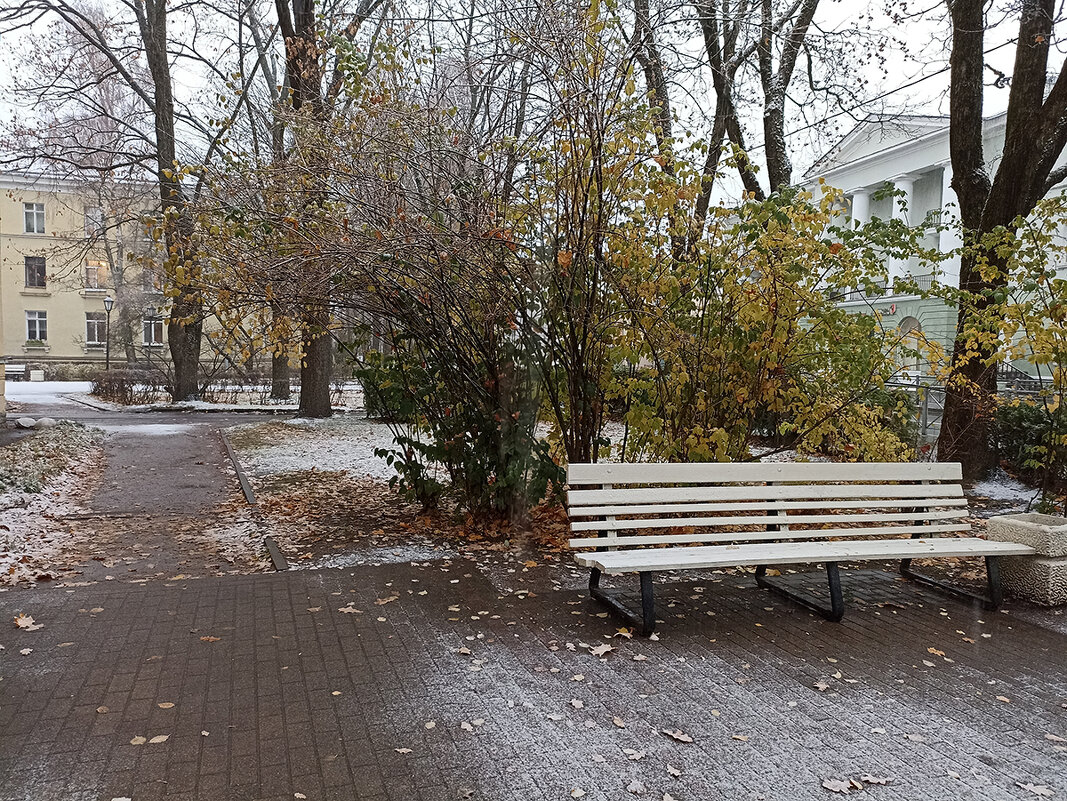 Первый снег. Зеленогорск. Ленинградская область - Лилия *
