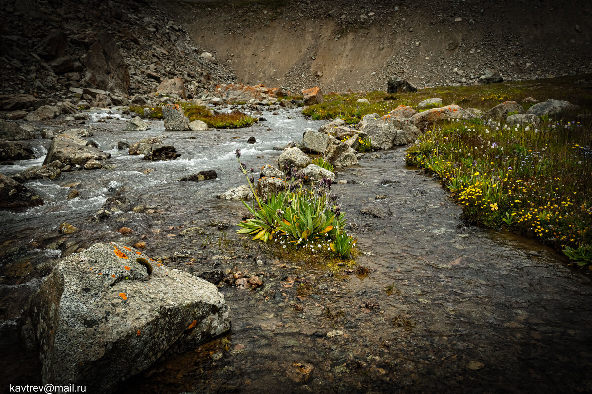 Иле-Алатауский государственный национальный природный парк - HART BAD