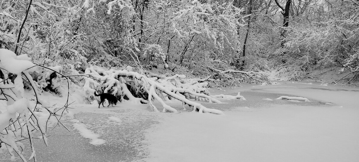 Снежный день!!! - Радмир Арсеньев