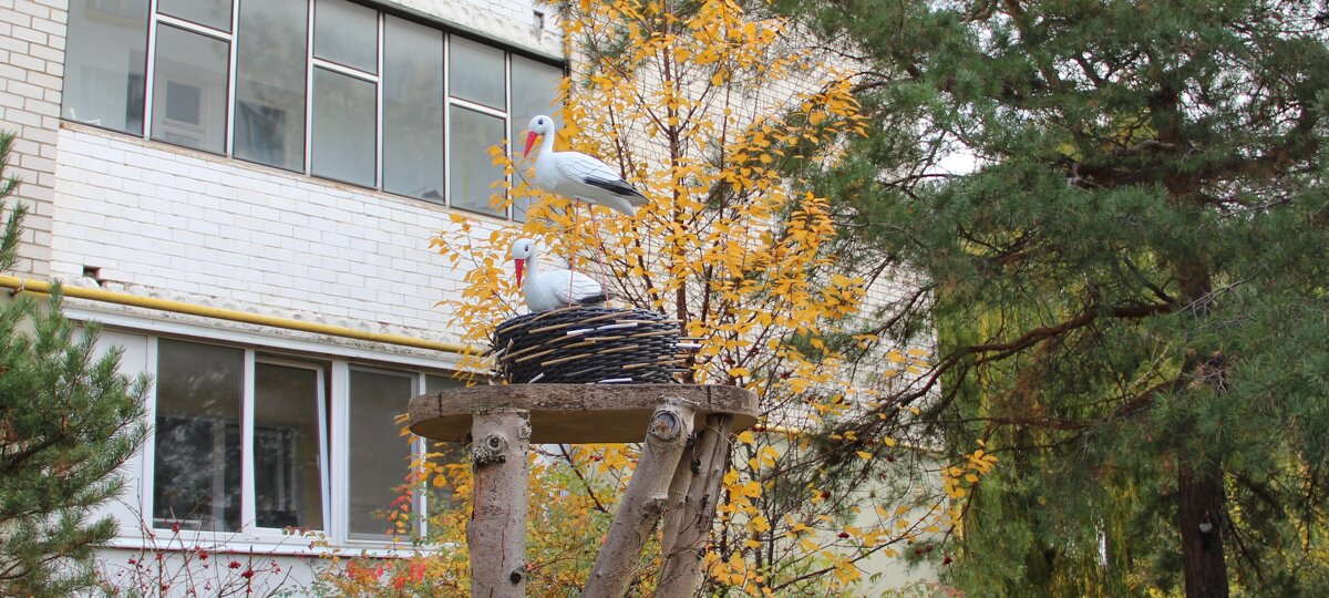 Неулетающие аисты - Борис Митрохин