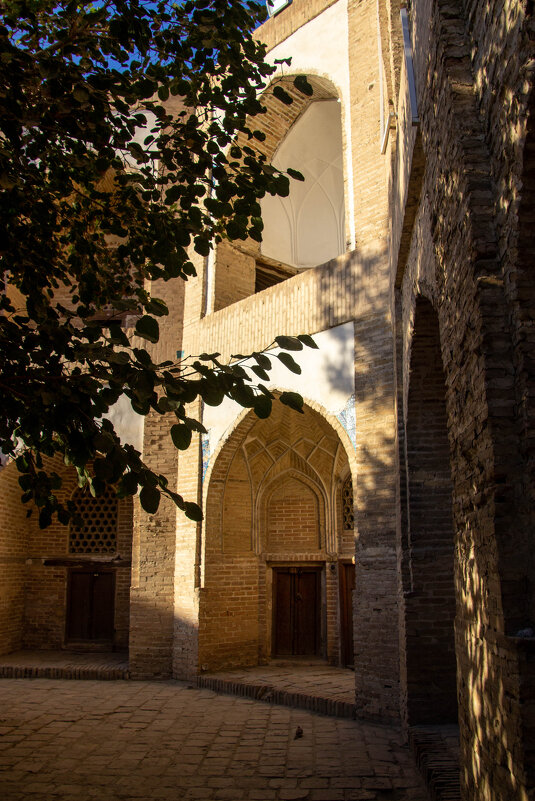 Бухара - Максим 