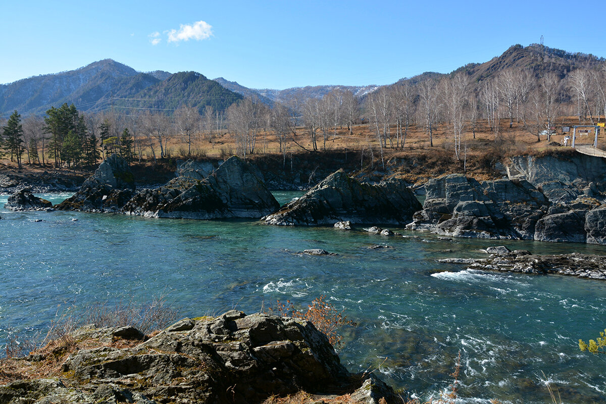 Зубы Дракона - Валерий Медведев