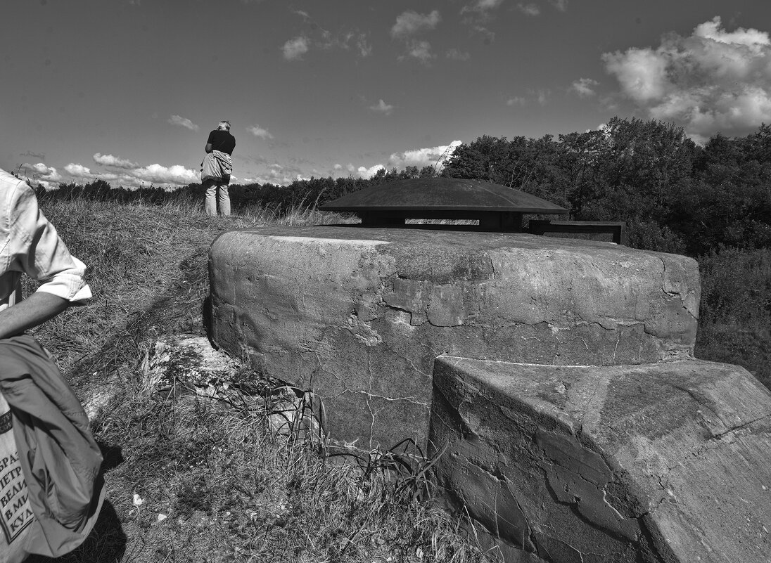 *** - Александр Русинов