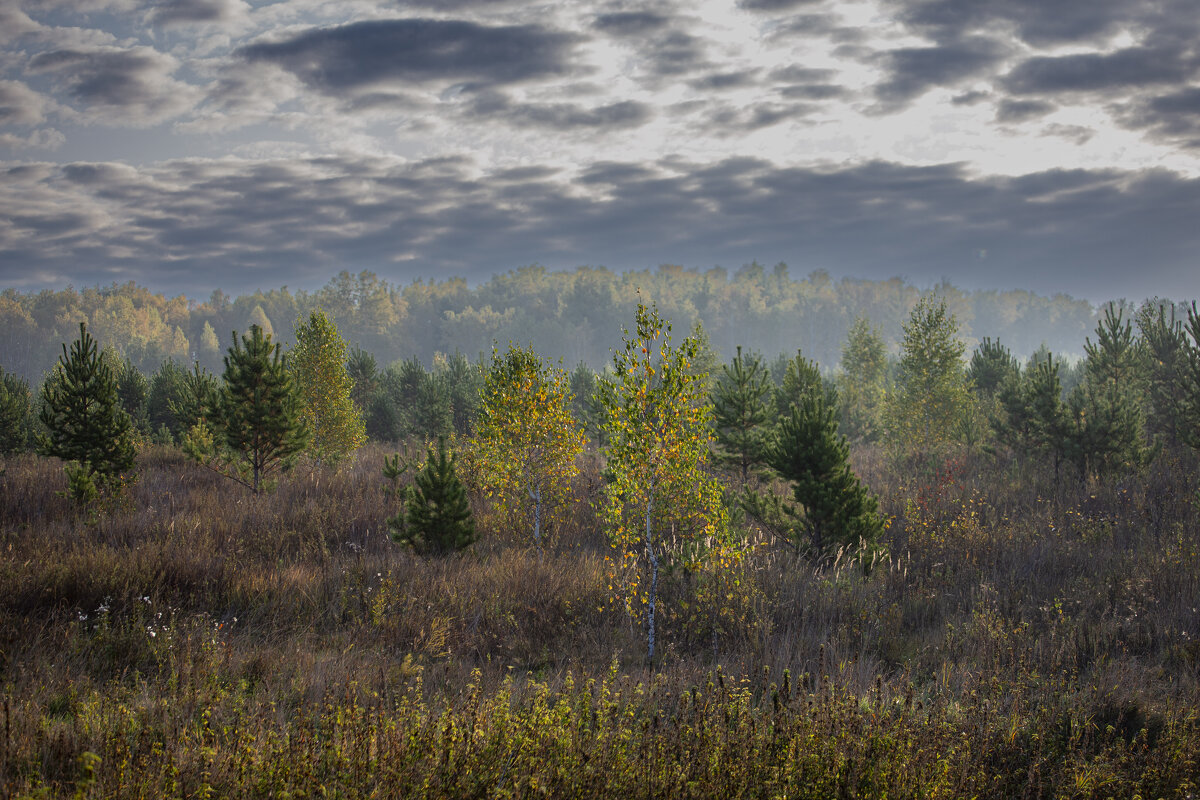 Хмурое утро - Barguzin_45 Иваныч