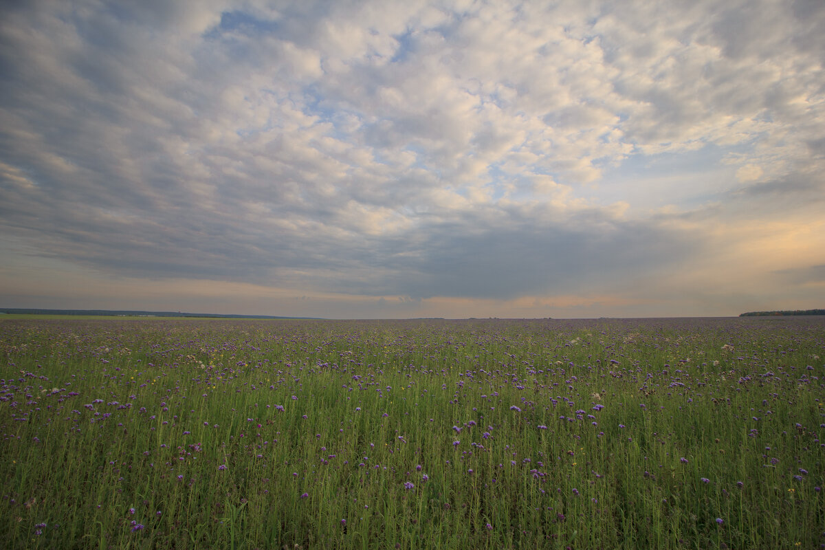 *** - Nataliya Belova