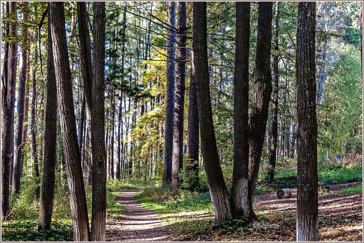 Про сентябрь - Aquarius - Сергей