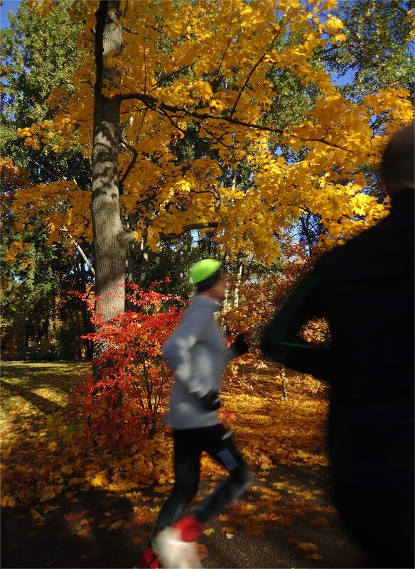 уходящая осень, ушедшая 3 - sv.kaschuk уходящая осень, ушедшая 3 - sv.kaschuk