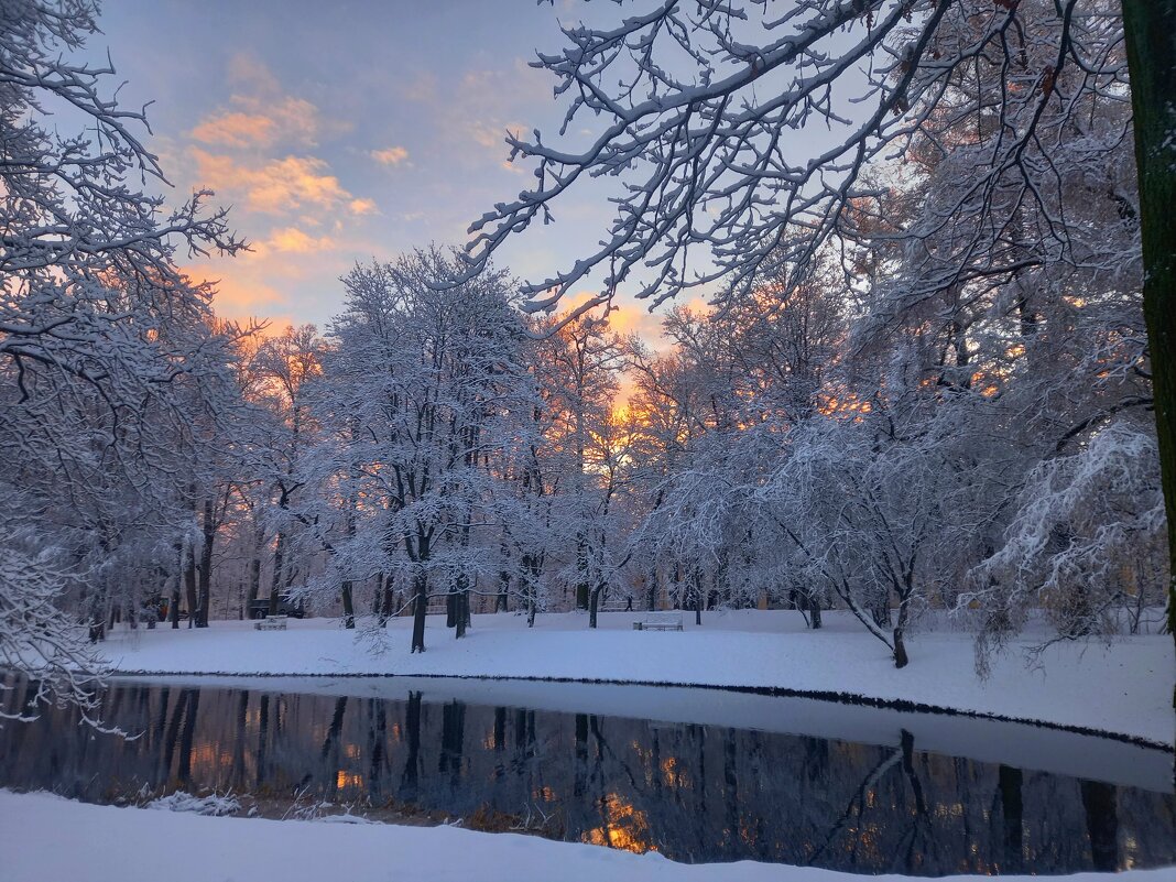 Рассвет - Сапсан 