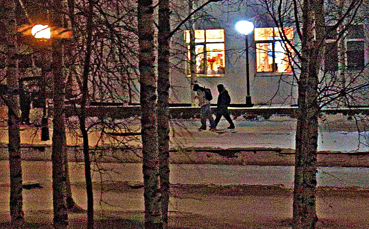 Ноябрь...Вечером из школы! - Владимир Ноябрь...Вечером из школы! - Владимир