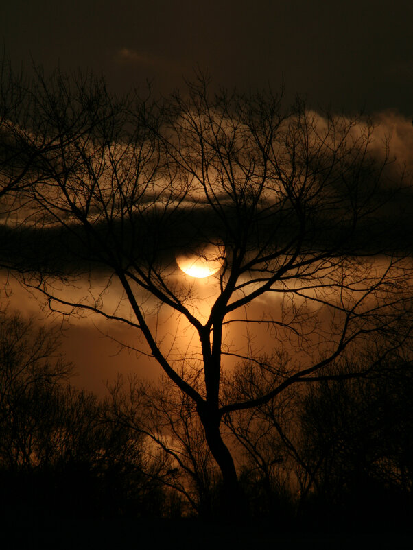 Зимний закат - Александр Зимний закат - Александр