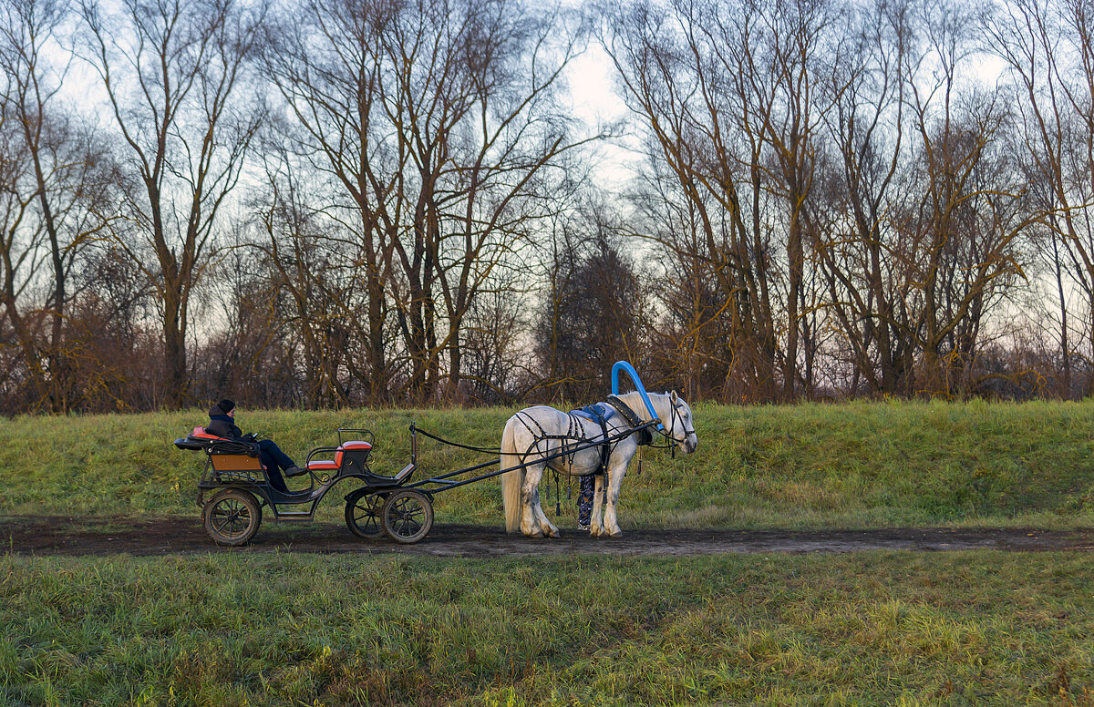 Немного отдохнуть - Сергей Цветков