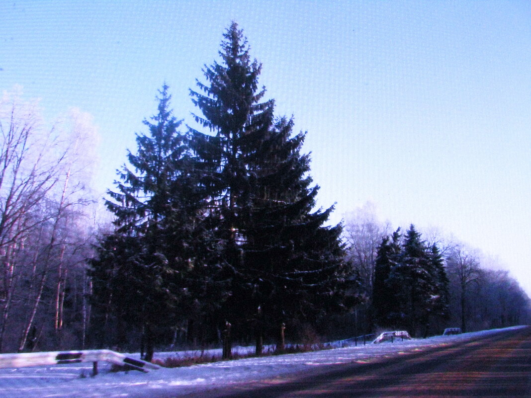 По ноябрьской дороге - Людмила Смородинская По ноябрьской дороге - Людмила Смородинская