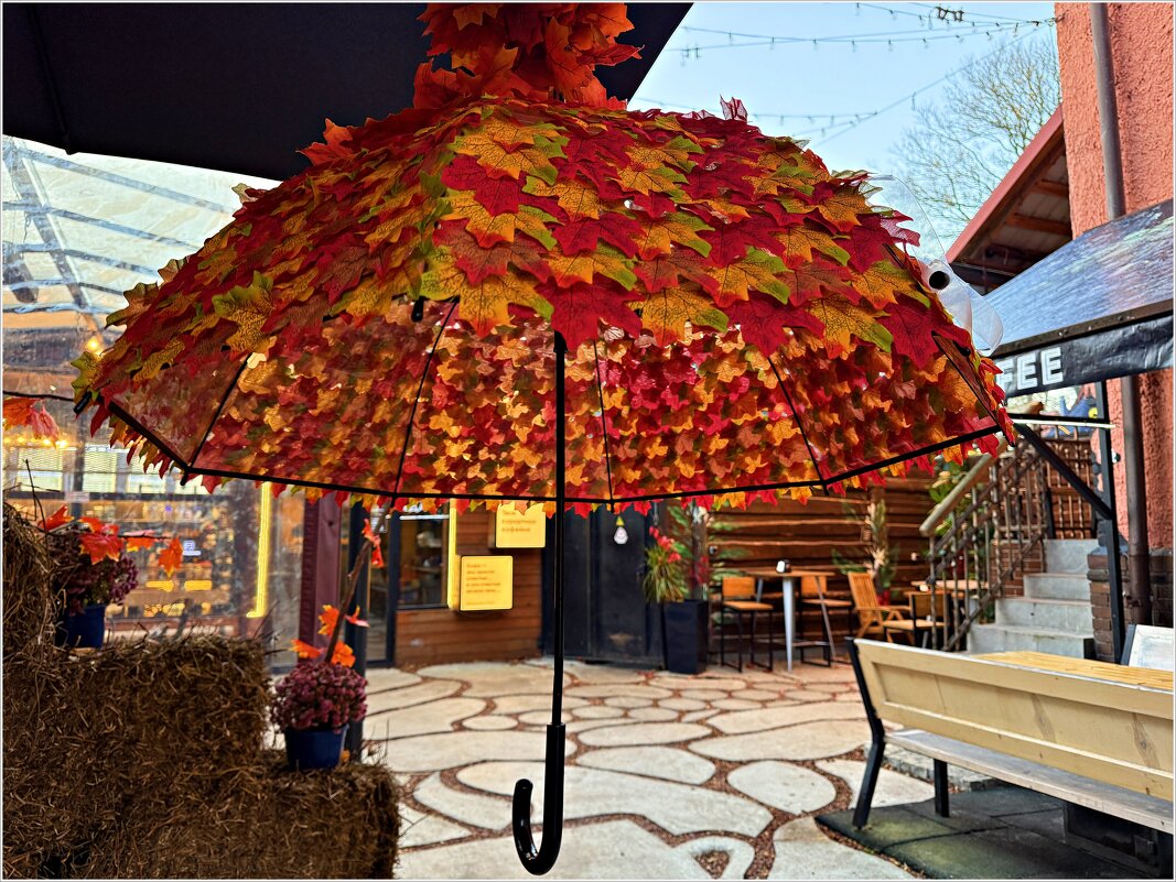 Осенний зонтик у кафе. - Валерия Комова Осенний зонтик у кафе. - Валерия Комова