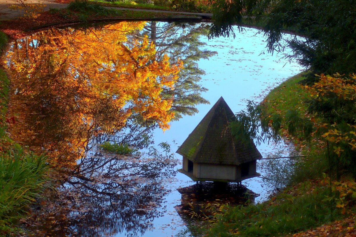 Озеро цапли - Юрий. Шмаков