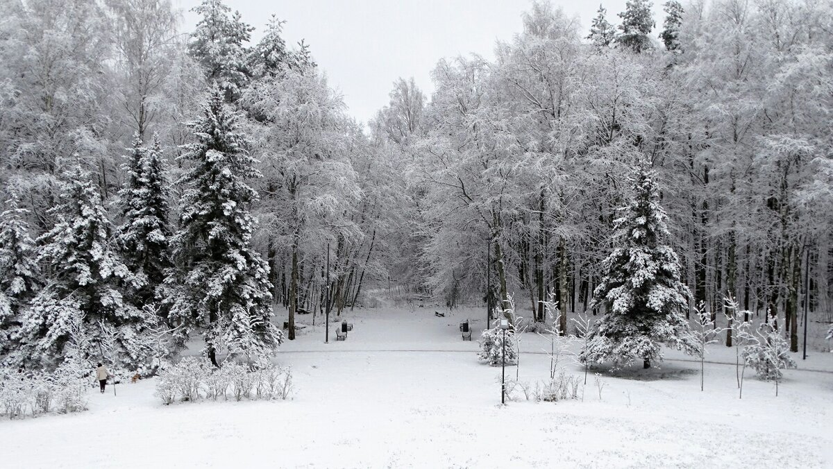Городской парк после снегопада. - Милешкин Владимир Алексеевич 